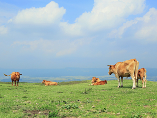 阿苏自然农场乐园