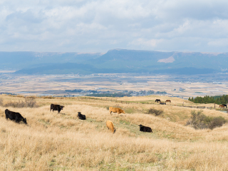 阿苏自然农场乐园