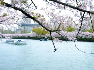 毛马樱之宫公园