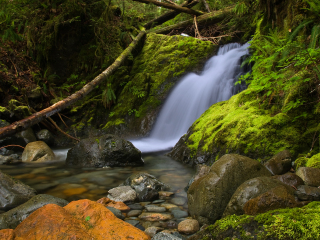 斯坦普江省级公园