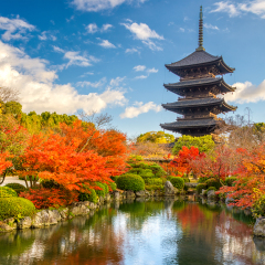 Kyoto, Japan at Toji Pagoda in Autumn.