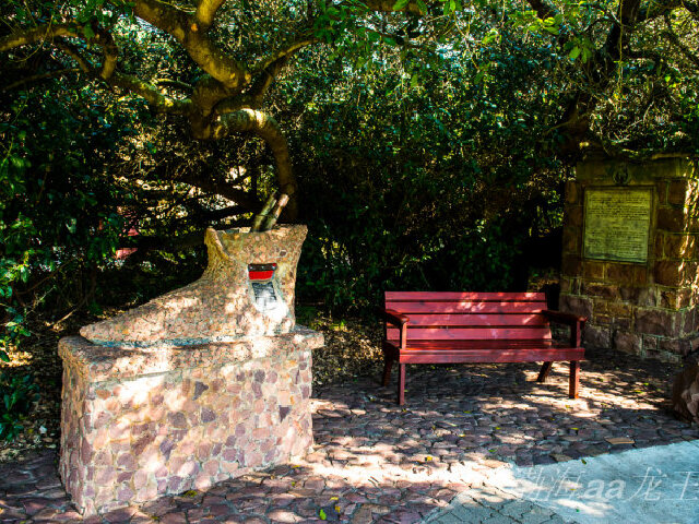 南非(花园大道奈斯纳+酒乡+太阳城)阿联酋12天