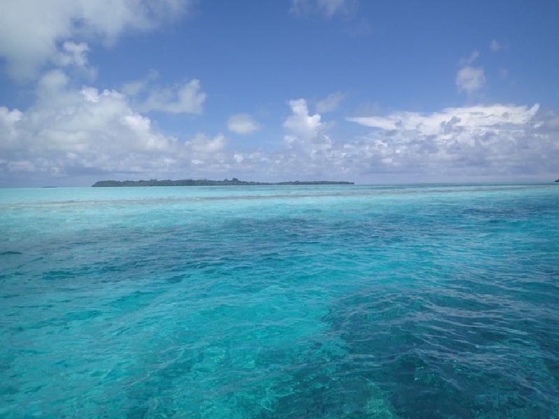 潜入帕劳的海底,唤醒内心深处的灵魂