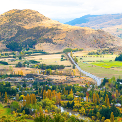Fall in Arrowtown