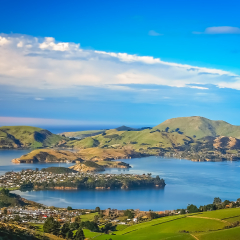 Dunedin town and bay as seen from the hills above, South Island, New Zealand