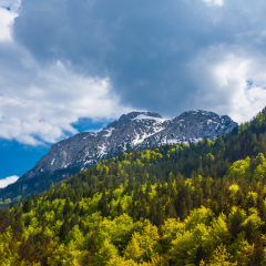 Lovely panoramic tree top view of the forest and the snow-capped mountain tops of the Alps in the background near the mountain stream Pöllat in Schwangau, Bavaria, Germany.