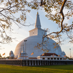 Mahatupa big Dagoba in Anuradhapura at sunset, Unesco, Sri Lanka, Asia