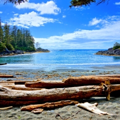 Blue water and skies along the coast of Pacific Rim National Park, Vancouver Island, BC, Canada
