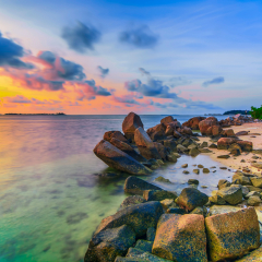 
Stone Formation
lined stones on the beach of Trikora island bintan