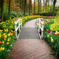 Stone walk way winding in spring formal flower garden Keukenhof, Holland, retro toned