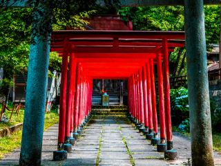 高山