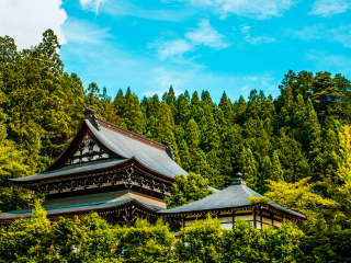 高山