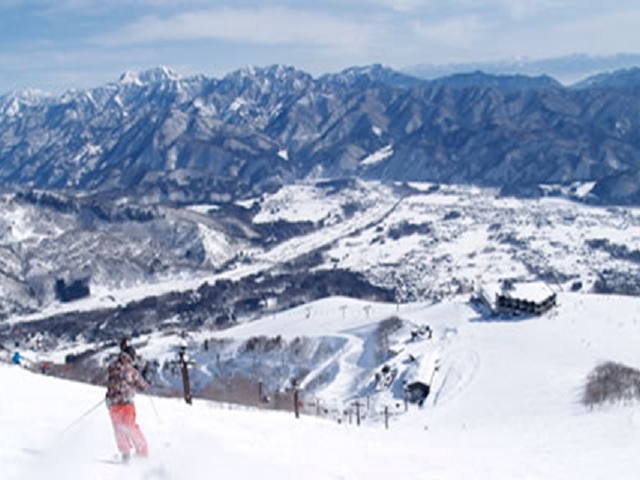 3晚白马村、2晚东京酒店住宿,这个冬天,一起去