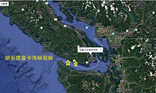 加拿大 八 胡安德富卡海峡观鲸 温哥华 攻略游记 途牛