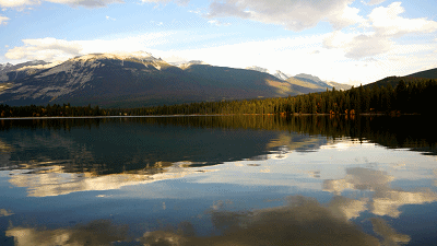 400_225gif 动态图 动图