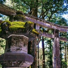 Nikko Toshogu Shrine, Nikko, Japan