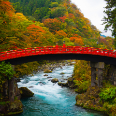 Shinkyo Bridge during Autumn in Nikko, Tochigi, Japan