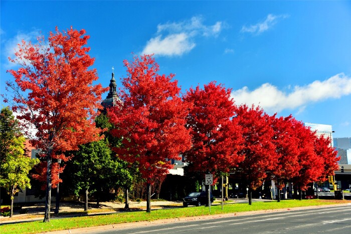 【首发】美国明州"双城记"之明尼阿波利斯