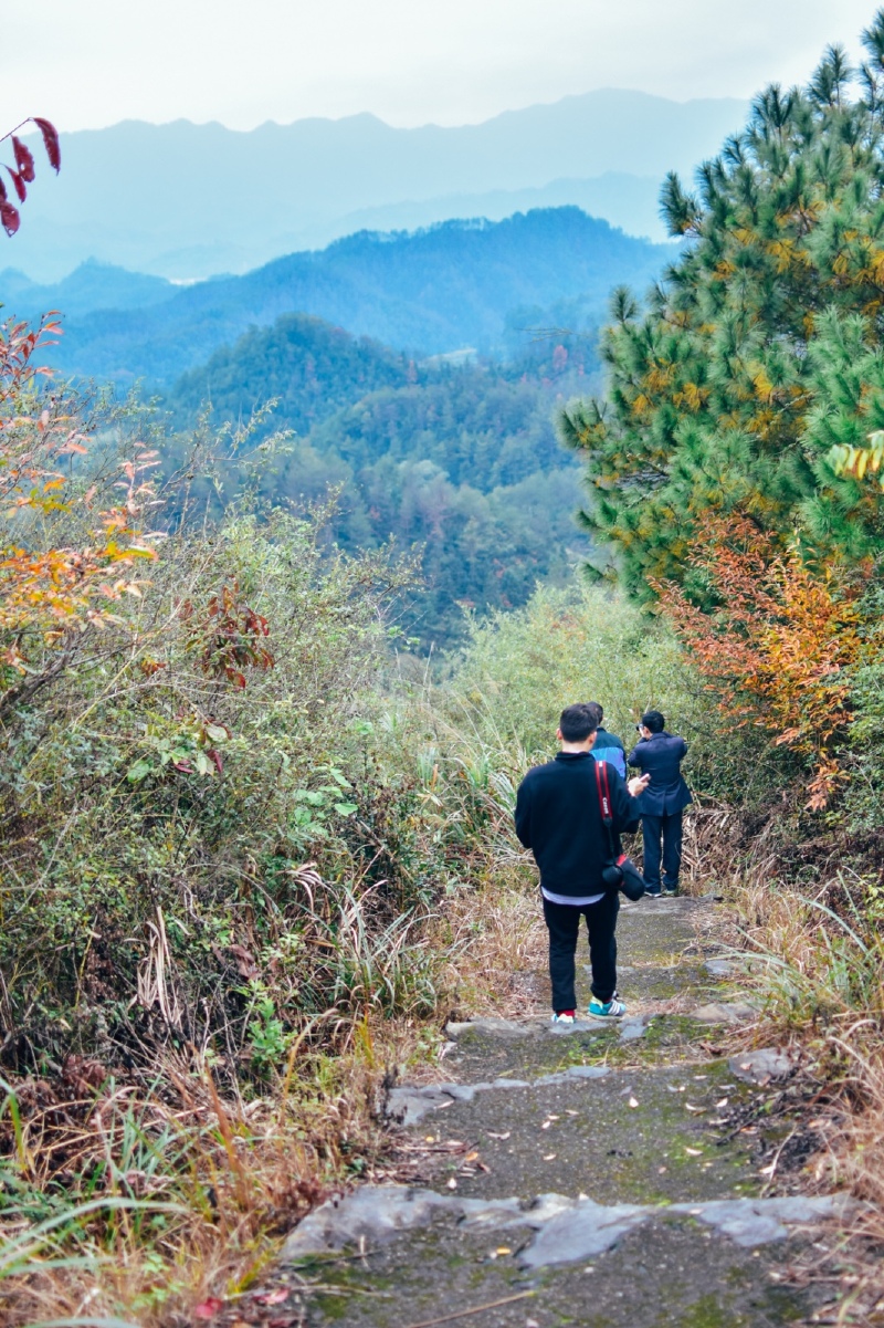 【途牛首发】#田园汾口 浙西名镇#寻找短暂的秋日时光