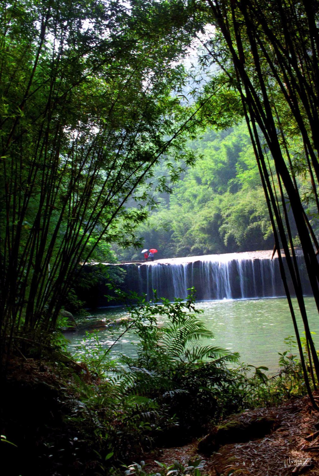 万竹之园,小家碧玉,没有败笔的景区