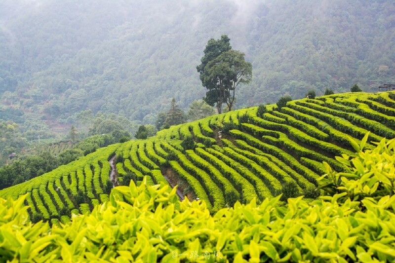 【途牛首发】隐藏在粤东的客都梅州,自然人文引人入胜!