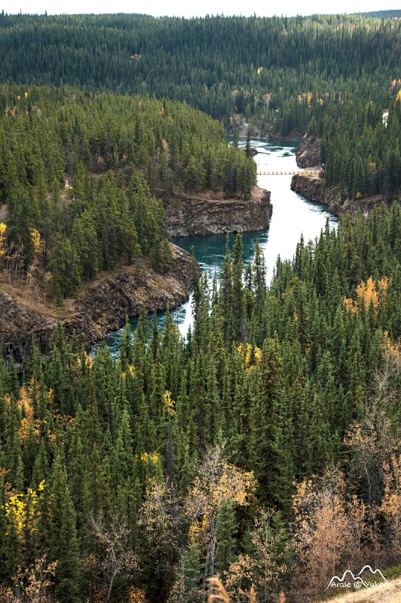 猎艳行动#开荒贴:史上最全加拿大育空 阿拉斯加自驾游记攻略_道森