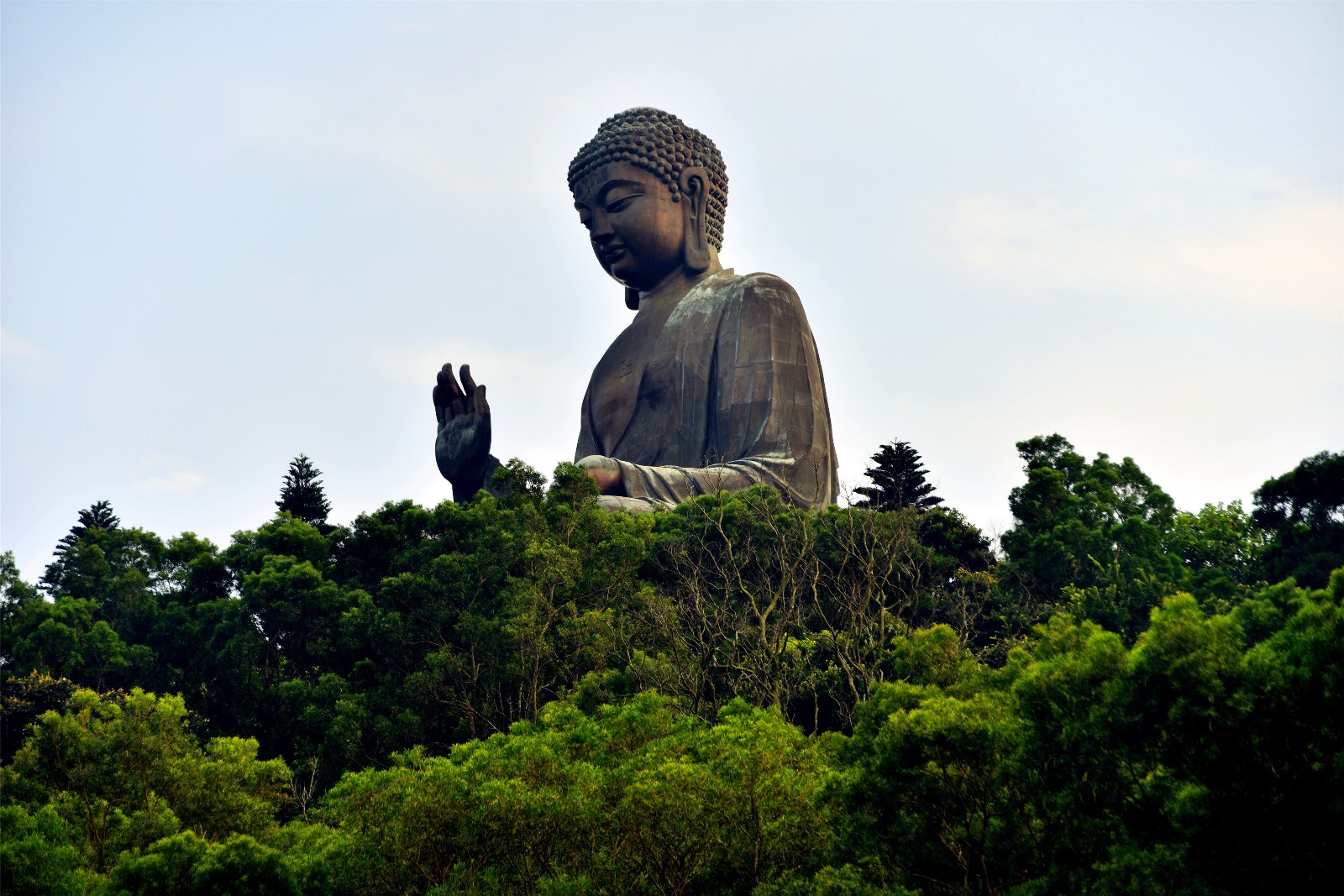1天香港大屿山不是一座山玩法