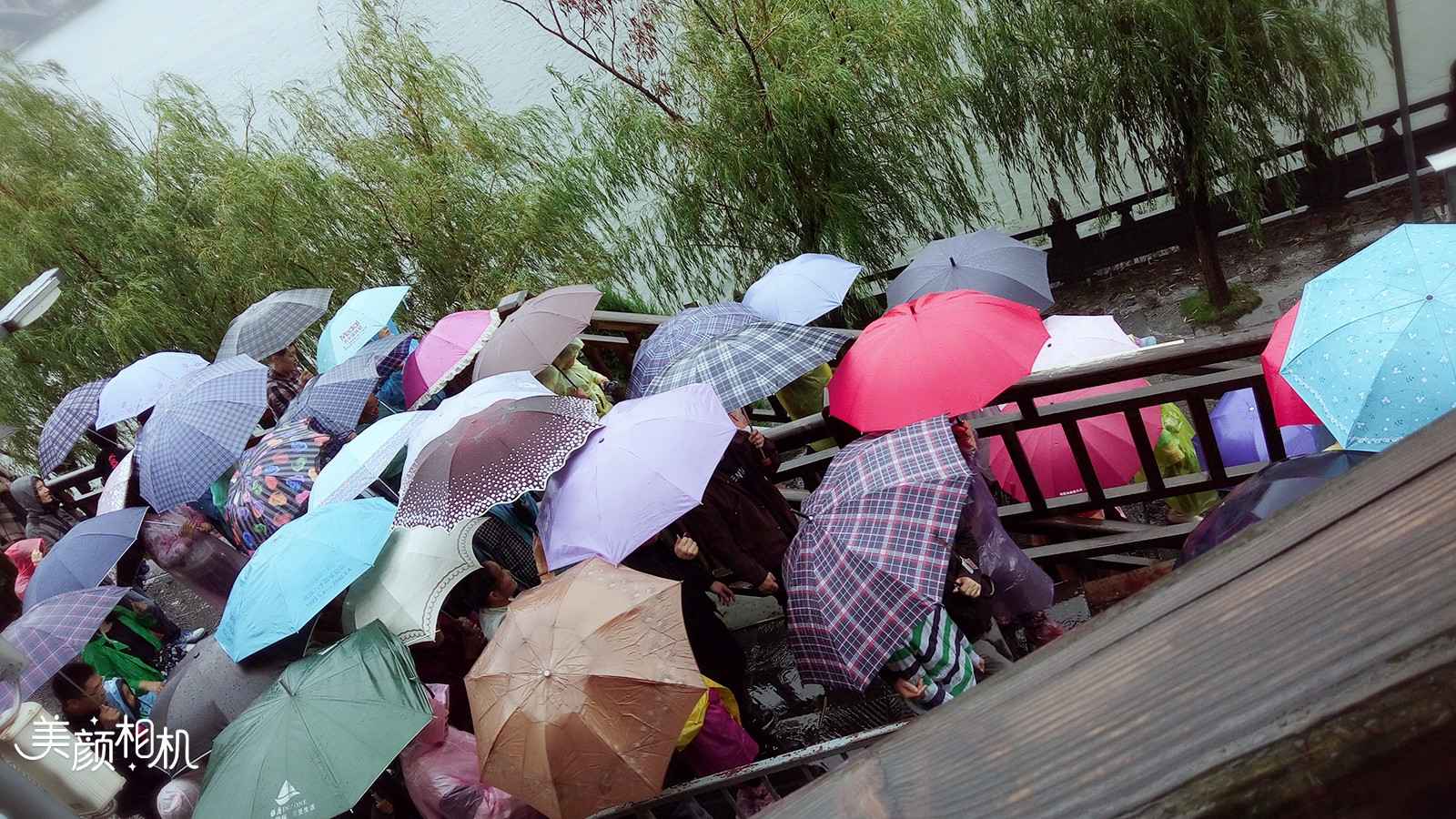 当天景区人居多,都打着雨伞,人挤人的,游荡在一片伞的海洋.