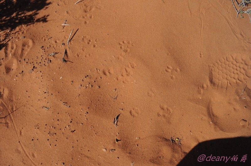 美国西部大环线国家公园小串烧羚羊谷拱门布莱斯峡谷等