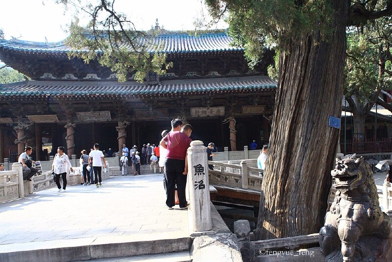 鱼沼飞梁这对铁狮铸于宋徽宗政和八年(公元1118年),一雄一雌,骨骼强健