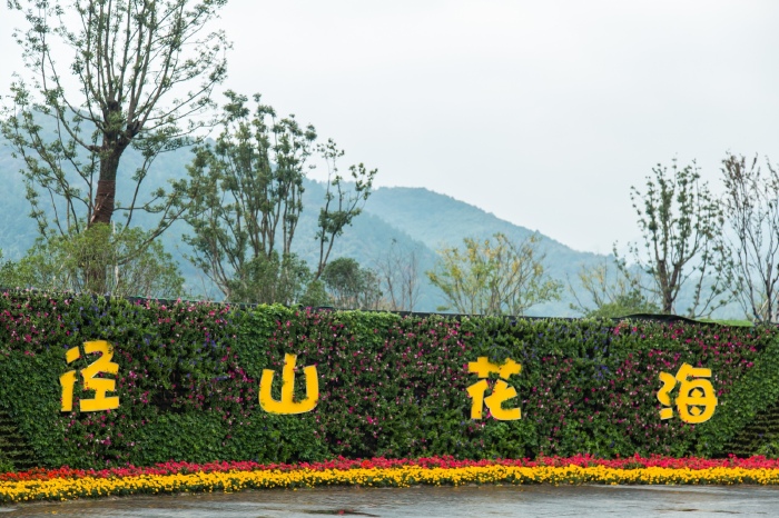 径山花千里花海