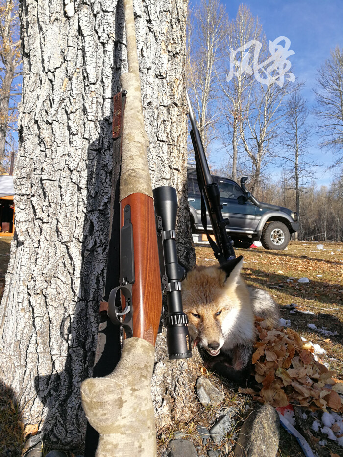 蒙古国八天狩猎夜猎逐猎围猎