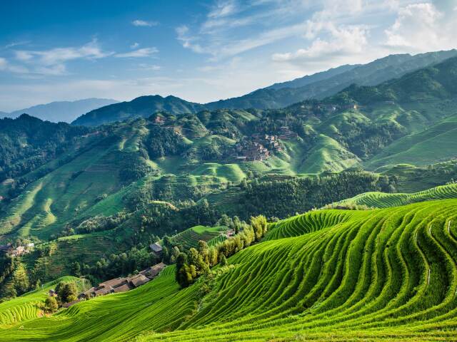 桂林龙脊梯田金坑大寨商务车1日游晚出发2至8人商务小团金坑大寨直达