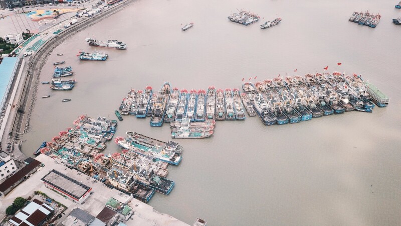 浙江中国最东边海岛每天限制200游客入岛花鸟岛干货