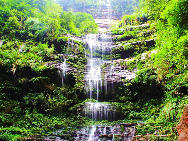 自然風景區 碧峰峽位於雅安市雨城區下里鄉,是兩條呈v字型排列的峽谷