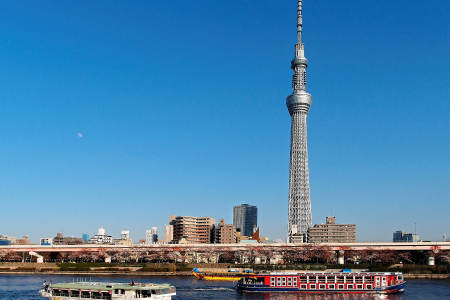 <日本东京一地6日游>日本航空大连直飞东京，东京市内新宿商圈酒店连住，4天自由活动，可参加镰仓一日游或富士山一日游，报名含WiFi及旅游攻略
