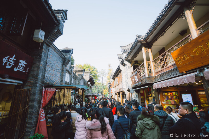 冬日成都火锅三日游,随处可见的国宝熊猫