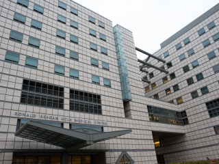 加利福尼亚大学洛杉矶分校