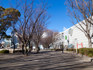 名古屋城市艺术博物馆