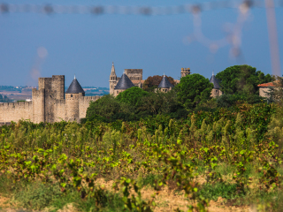 卡尔卡松历史城墙要塞