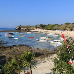 BALI, INDONESIA - SEPTEMBER 12, 2015: Mushroom Beach at Nusa Lembongan Island, Bali on Sep 12, 2015. This island is tourism-based infrastructure and popular destination for tourists to dive and surf.