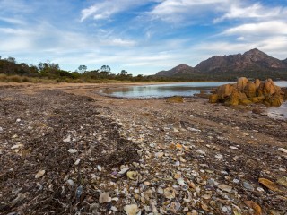 科尔斯湾国家公园