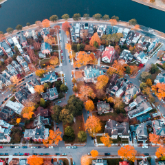 Fall in Ghent, Norfolk Va