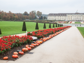 斯图加特皇家公园