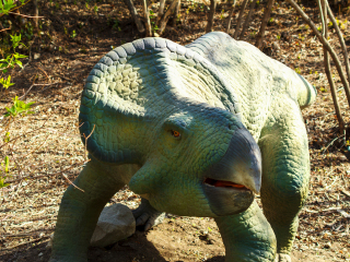 卡尔加里动物园