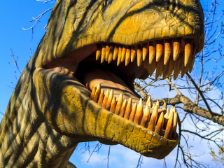 卡尔加里动物园