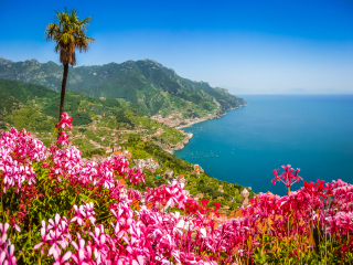 坎帕尼亚Campania