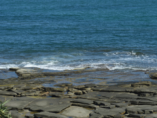 布里斯班阳光海岸
