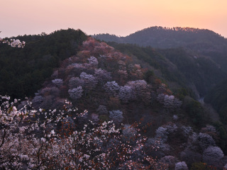 吉野山