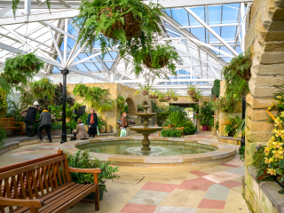 塔斯马尼亚皇家植物园